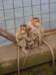 dscn2868_small.jpg