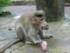 dscn2875_small.jpg
