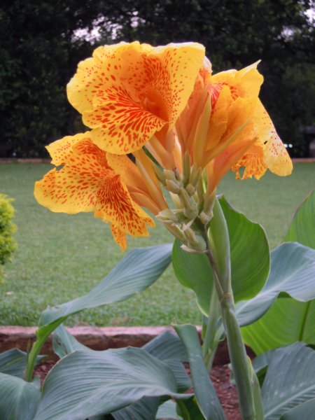 dscn3037.jpg