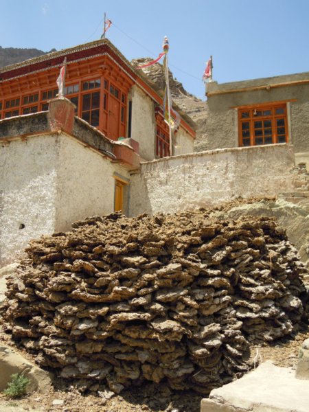 dscn3170.jpg
