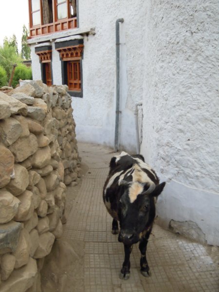 dscn3265.jpg