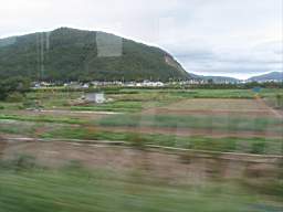Bild 186.jpg
