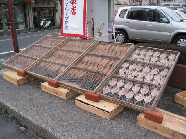 photo12.jpg