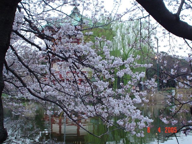 photo126.jpg