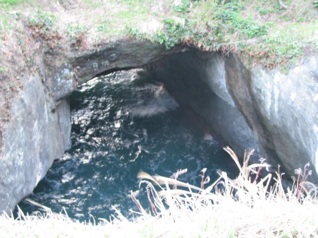 photo34.jpg