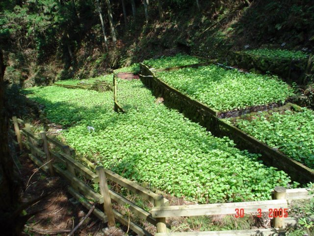 photo42.jpg