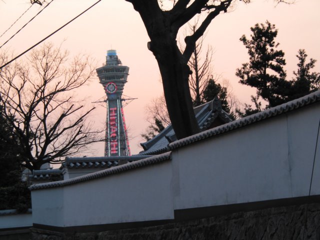 photo80.jpg
